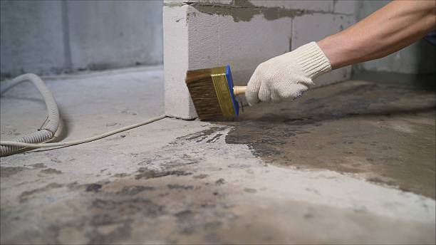 SJ Waterproofing Pros Emergency Waterproofing coverage map for Big Rapids, MI and surrounding area